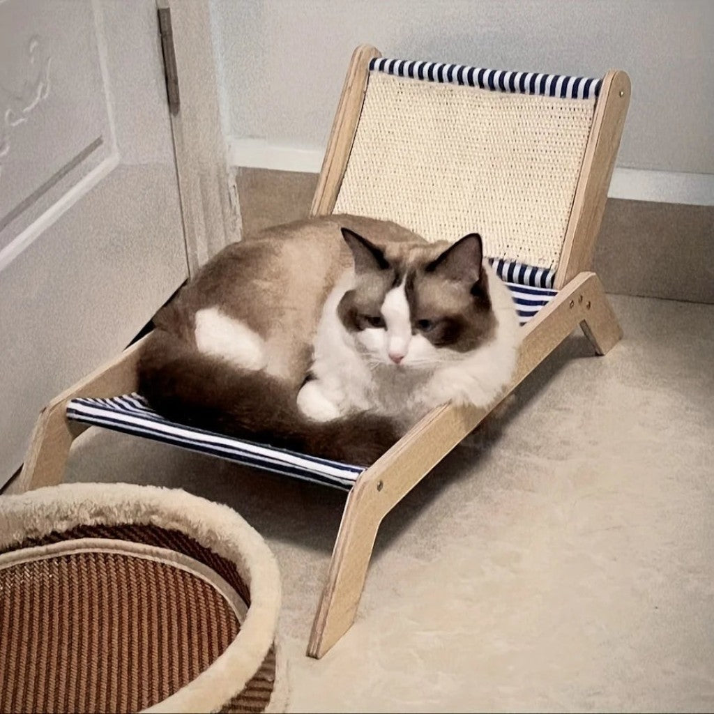 Chat Ragdoll allongé sur un transat Esprit Chat en bois avec une toile rayée bleue et blanche