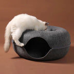 Tunnel pour chat Esprit Chat en feutre gris en forme de beignet avec un chat blanc jouant dessus