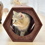 Tunnel de jeu hexagonal en feutre marron pour chat, marque Esprit Chat, offrant un espace de repos et de jeu.
