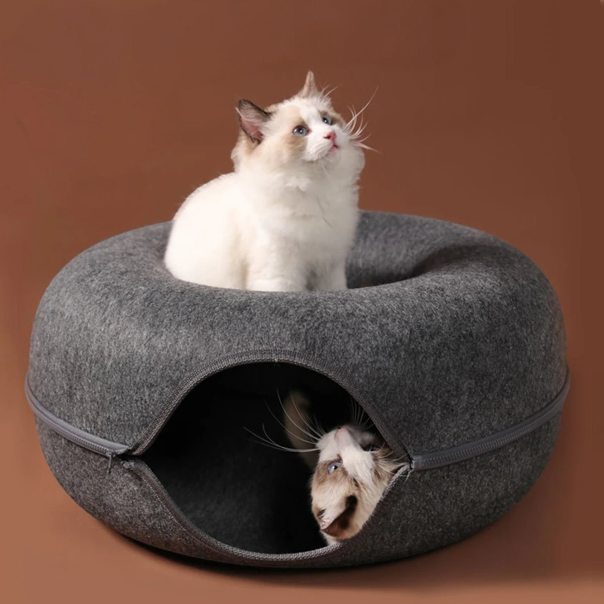 Tunnel lit Esprit Chat gris en feutre pour chat avec un chaton assis au-dessus et un autre à l'intérieur