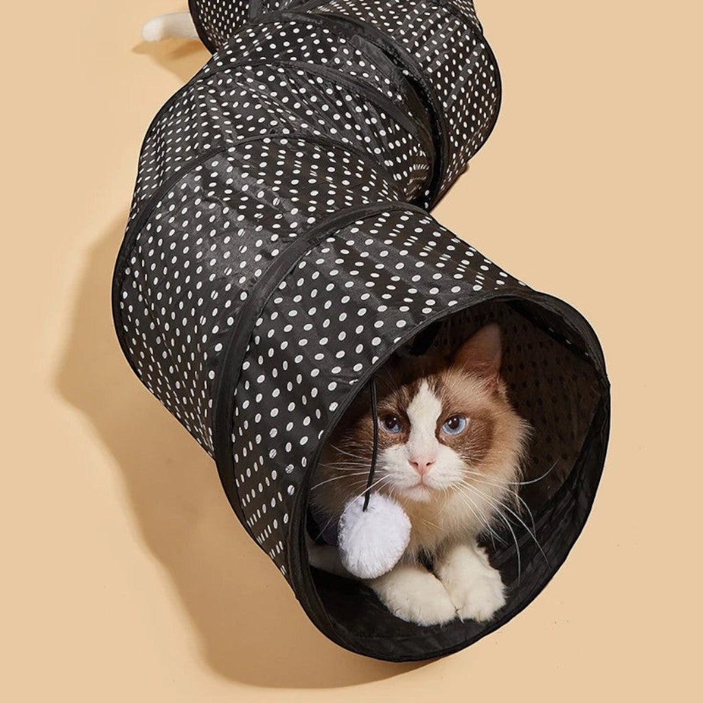 Tunnel de jeu pliable pour chat Esprit Chat en polyester noir à pois blancs avec un chat Ragdoll à l'intérieur