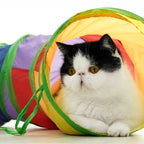 Chat noir et blanc assis dans un tunnel de jeu multicolore pliable Esprit Chat pour animaux