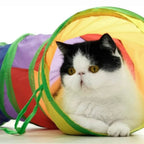 Chat noir et blanc assis dans un tunnel Esprit Chat pliable et coloré en polyester pour le jeu interactif