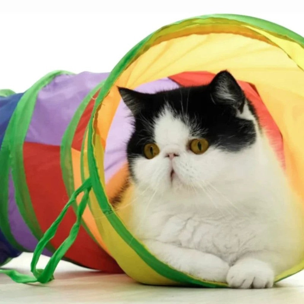 Chat noir et blanc assis dans un tunnel Esprit Chat pliable et coloré en polyester pour le jeu interactif