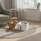 Fontaine à eau sans fil LABEKA en acier inoxydable pour chat, avec un chat roux à côté.